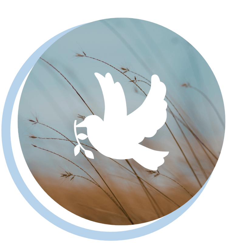 World Federalist Movement – Canada. Our work with Global Peace and Security