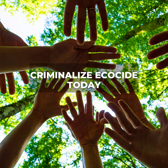 Support the criminalization of ecocide!