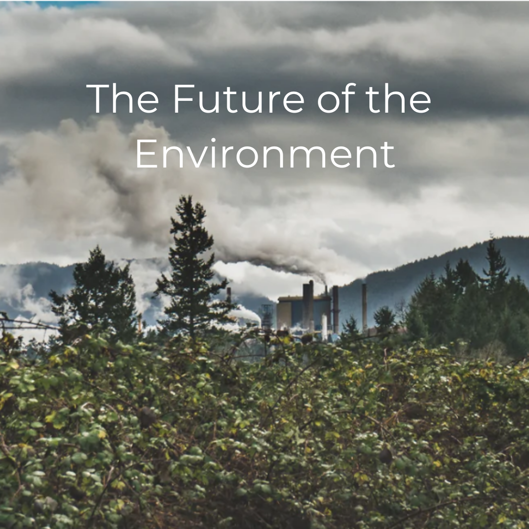 Nigel Roulet The Future of the Environment with Nigel Roulet – World Federalist ...